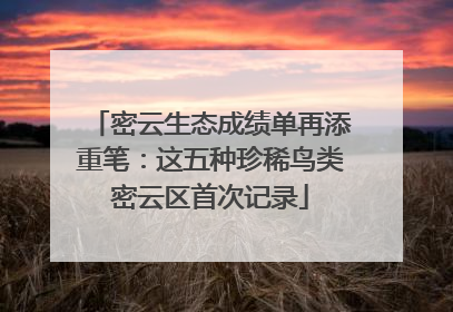 密云生态成绩单再添重笔：这五种珍稀鸟类密云区首次记录