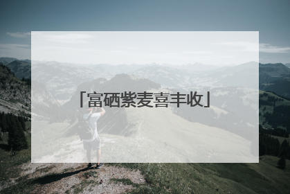 富硒紫麦喜丰收