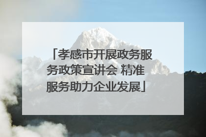 孝感市开展政务服务政策宣讲会 精准服务助力企业发展