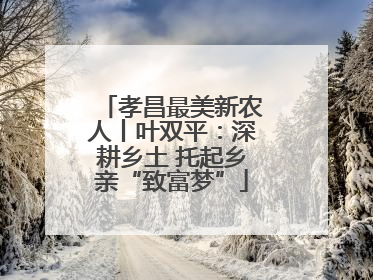 孝昌最美新农人丨叶双平：深耕乡土 托起乡亲“致富梦”
