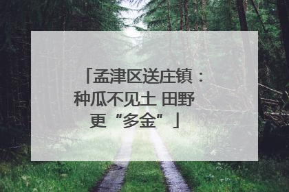 孟津区送庄镇：种瓜不见土 田野更“多金”