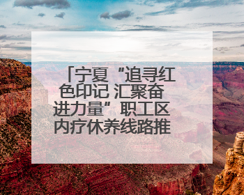 宁夏“追寻红色印记 汇聚奋进力量”职工区内疗休养线路推介活动举行