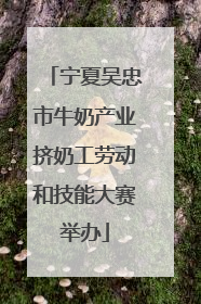 宁夏吴忠市牛奶产业挤奶工劳动和技能大赛举办