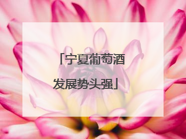 宁夏葡萄酒发展势头强