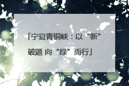 宁夏青铜峡：以“新”破题 向“绿”而行