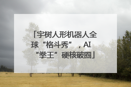 宇树人形机器人全球“格斗秀”，AI“拳王”硬核破圈