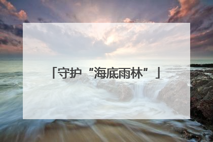 守护“海底雨林”