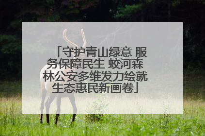 守护青山绿意 服务保障民生 蛟河森林公安多维发力绘就生态惠民新画卷