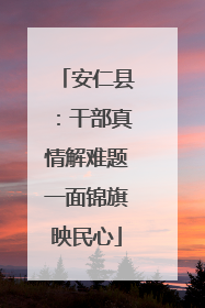 安仁县：干部真情解难题一面锦旗映民心
