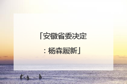 安徽省委决定：杨森履新