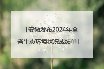 安徽发布2024年全省生态环境状况成绩单