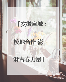 安徽宣城：校地合作 澎湃青春力量
