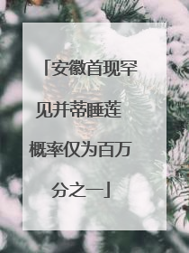 安徽首现罕见并蒂睡莲 概率仅为百万分之一