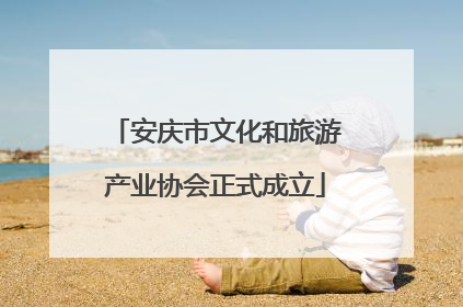安庆市文化和旅游产业协会正式成立