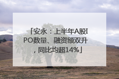 安永：上半年A股IPO数量、融资额双升，同比均超14%