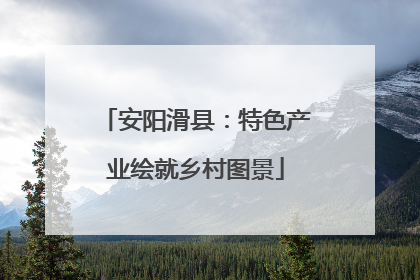 安阳滑县：特色产业绘就乡村图景