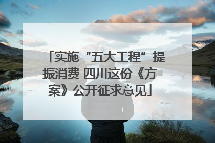 实施“五大工程”提振消费 四川这份《方案》公开征求意见
