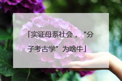 实证母系社会，“分子考古学”为啥牛