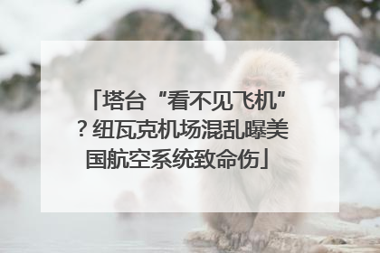 塔台“看不见飞机”？纽瓦克机场混乱曝美国航空系统致命伤