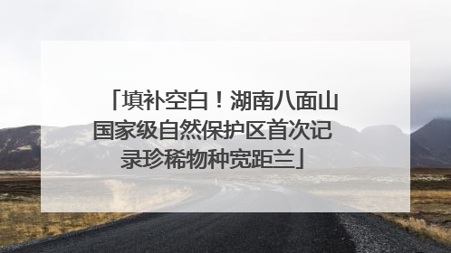 填补空白！湖南八面山国家级自然保护区首次记录珍稀物种宽距兰