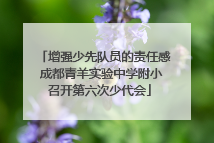 增强少先队员的责任感 成都青羊实验中学附小召开第六次少代会