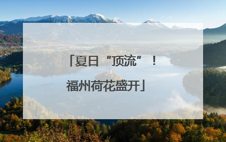 夏日“顶流”！福州荷花盛开