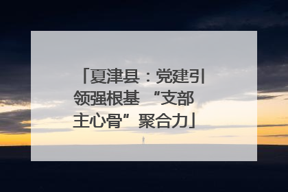 夏津县：党建引领强根基 “支部主心骨”聚合力
