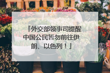 外交部领事司提醒中国公民暂勿前往伊朗、以色列！