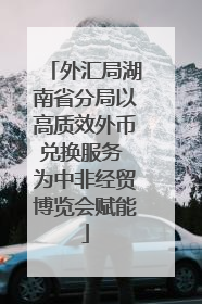 外汇局湖南省分局以高质效外币兑换服务 为中非经贸博览会赋能