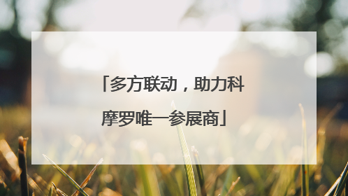 多方联动，助力科摩罗唯一参展商