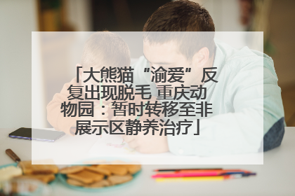 大熊猫“渝爱”反复出现脱毛 重庆动物园：暂时转移至非展示区静养治疗