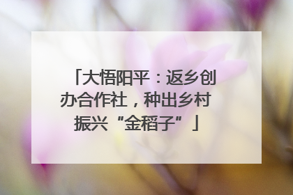 大悟阳平：返乡创办合作社，种出乡村振兴“金稻子”