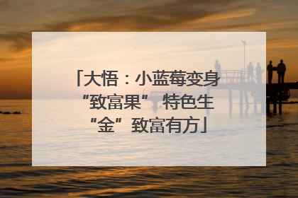 大悟：小蓝莓变身“致富果” 特色生“金”致富有方
