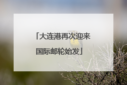 大连港再次迎来国际邮轮始发