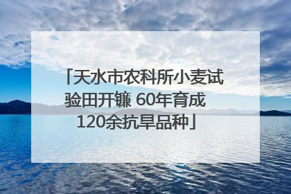 天水市农科所小麦试验田开镰 60年育成120余抗旱品种