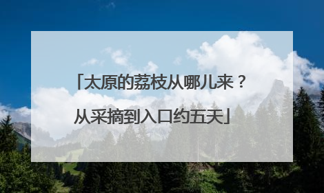 太原的荔枝从哪儿来？从采摘到入口约五天