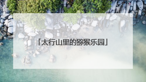 太行山里的猕猴乐园