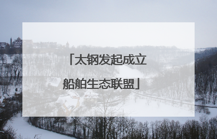 太钢发起成立船舶生态联盟