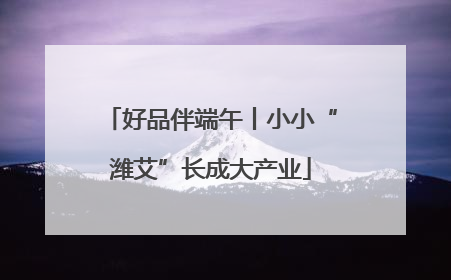 好品伴端午丨小小“潍艾”长成大产业