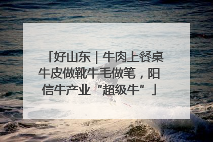 好山东｜牛肉上餐桌牛皮做靴牛毛做笔，阳信牛产业“超级牛”