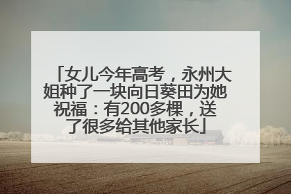 女儿今年高考，永州大姐种了一块向日葵田为她祝福：有200多棵，送了很多给其他家长