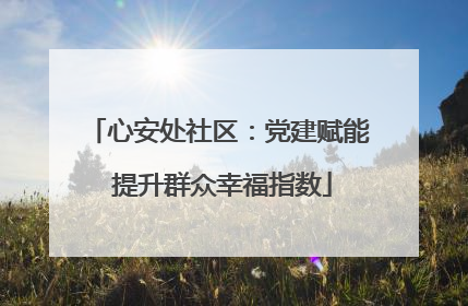 心安处社区：党建赋能 提升群众幸福指数