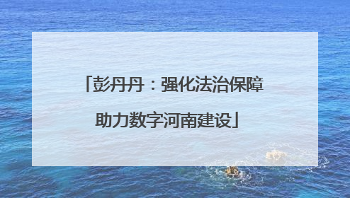 彭丹丹：强化法治保障 助力数字河南建设