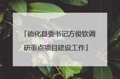 德化县委书记方俊钦调研重点项目建设工作