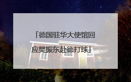 德国驻华大使馆回应樊振东赴德打球