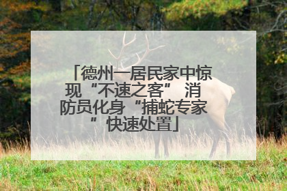 德州一居民家中惊现“不速之客” 消防员化身“捕蛇专家”快速处置