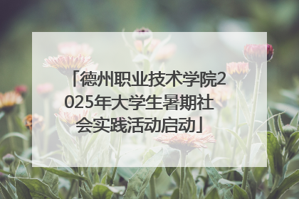 德州职业技术学院2025年大学生暑期社会实践活动启动