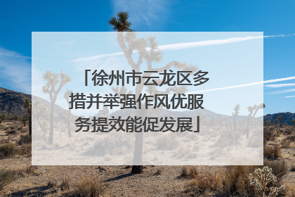 徐州市云龙区多措并举强作风优服务提效能促发展