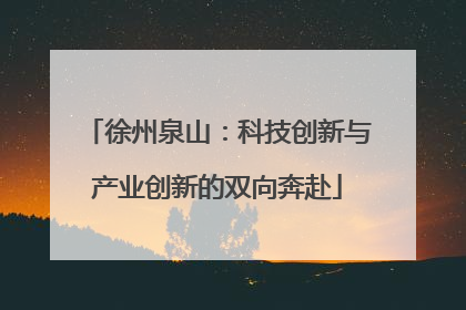 徐州泉山：科技创新与产业创新的双向奔赴