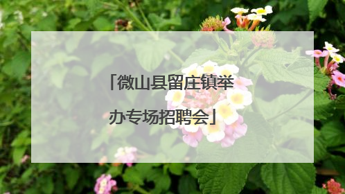微山县留庄镇举办专场招聘会